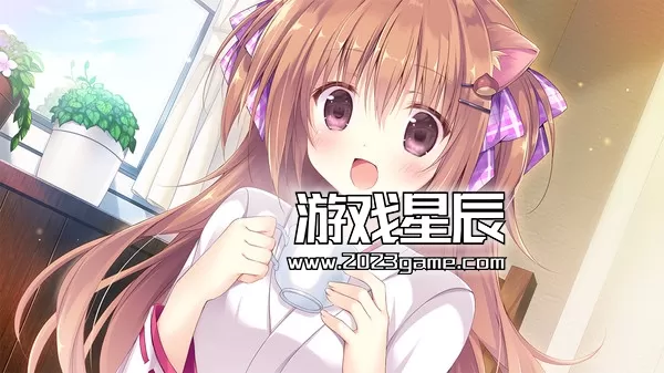 switch《巧克甜恋 Amairo Chocolate》中文版nsz下载+1.0.1补丁_3