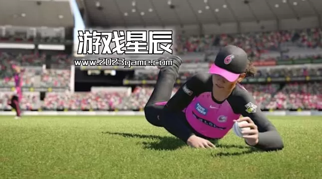 switch《板球2024 Cricket 24》英文版nsz下载_3