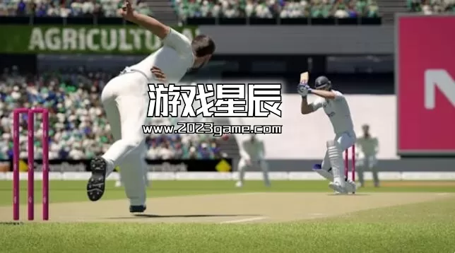 switch《板球2024 Cricket 24》英文版nsz下载_2