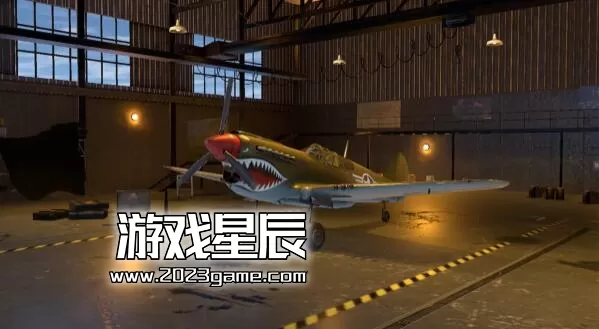 switch《二次世界大战飞机战斗-作战中队/WWII AIRPLANE FIGHT》英文版nsz下载_1