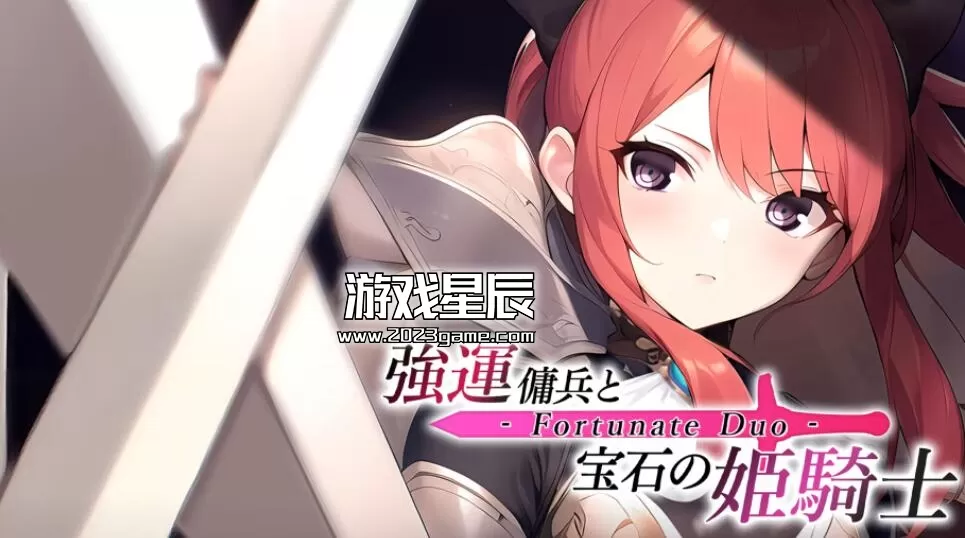 switch《强运佣兵与宝石的姫骑士 - Fortunate Duo -(強運傭兵と宝石の姫騎士 )》中文版nsp下载