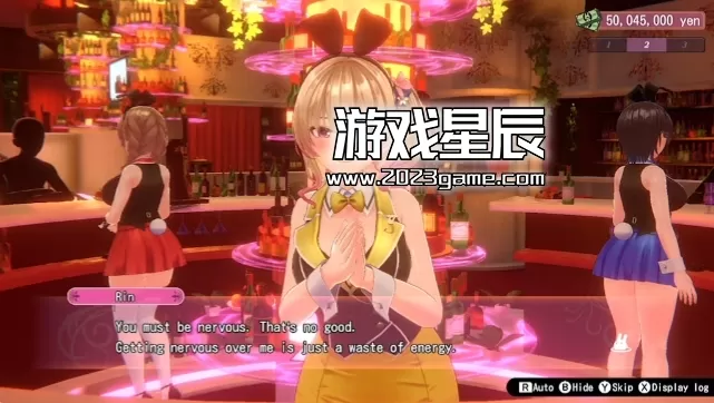 switch《兔兔秘密花园 BUNNY GARDEN》中文版nsz下载+1.0.4补丁+金手指_3
