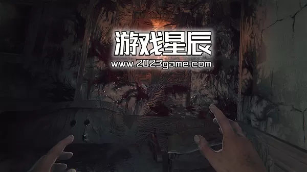 【9.0】PS4《层层恐惧VR Layers of Fear VR》英文版PKG下载_4