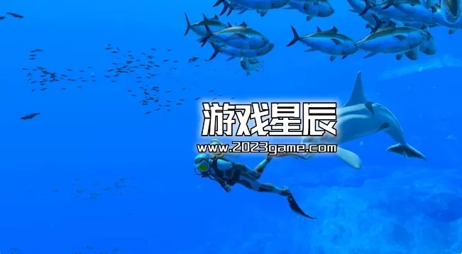 switch《永恒蔚蓝：流光/Endless Ocean Luminous》中文版xci下载_3