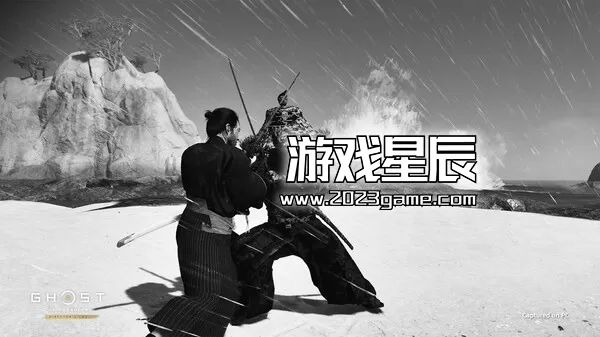 PC《对马岛》中文版下载v1053.2.0528.1709_0