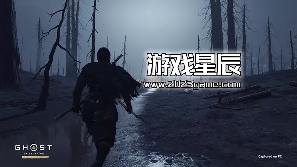 PC《对马岛》中文版下载v1053.2.0528.1709_2