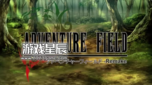switch《冒险领域重制版/Adventure Field Remake》英文版XCI下载