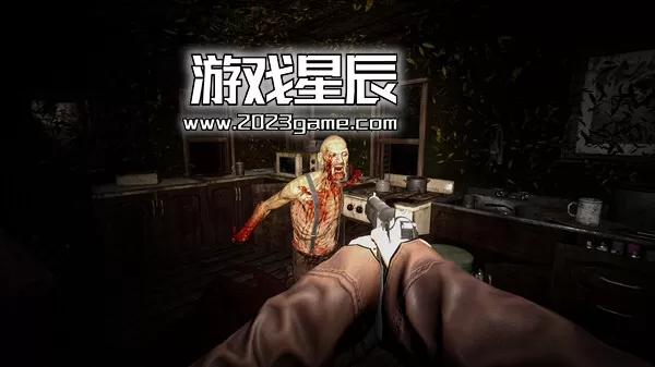 PC《诅咒村庄/Unholy Village》中文版下载_3