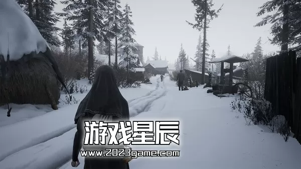 PC《印蒂卡/INDIKA》中文版下载_1