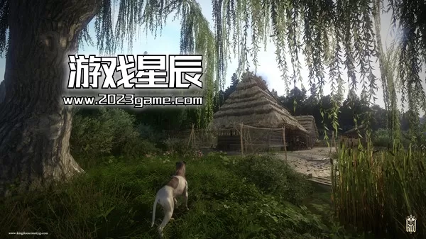 【5.05】PS4《天国：拯救皇家版 Kingdom Come: Deliverance》中文汉化版PKG下载v1.05_5
