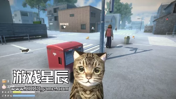 PC《NEKOTO》中文版下载v0.0.1_3