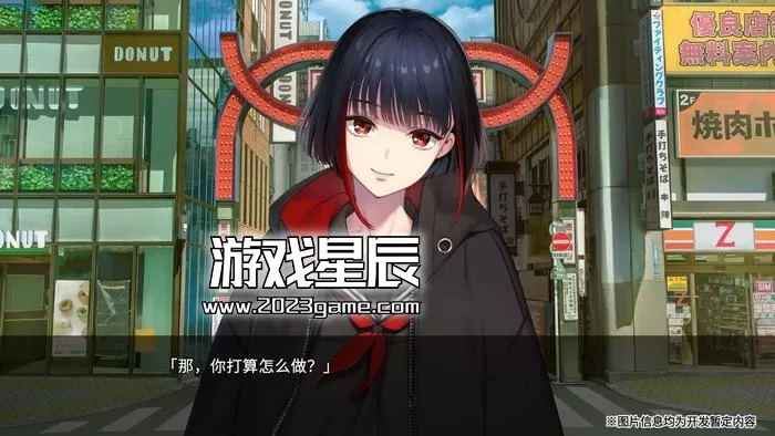 PC《新宿葬命（SHINJUKU SOUMEI）》中文版下载