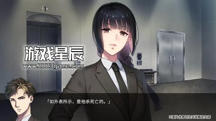 PC《新宿葬命（SHINJUKU SOUMEI）》中文版下载_2
