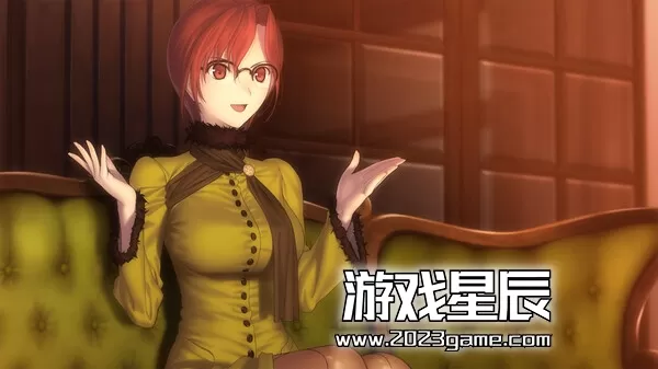 switch《魔法使之夜 Witch on the Holy Night》中文版nsp下载+1.0.3补丁_3