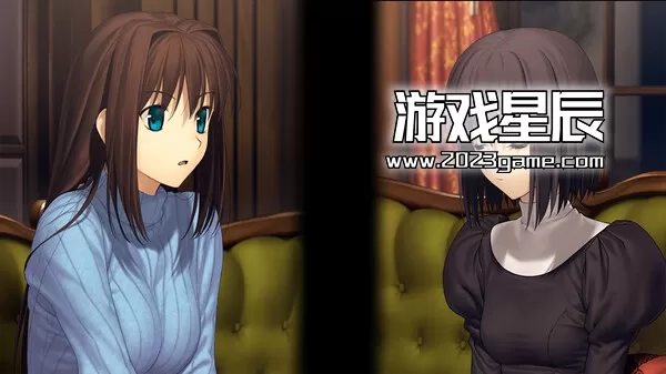 switch《魔法使之夜 Witch on the Holy Night》中文版nsp下载+1.0.3补丁_1