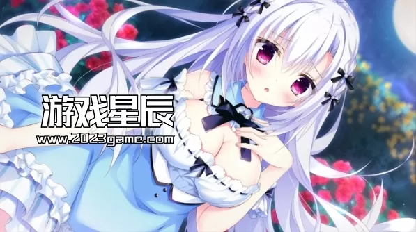 switch《兽娘道/Kemonomichi Girlish Square》日文版XCI下载+1.0.1补丁_4