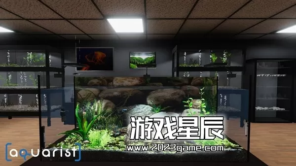 PC《Aquarist - 建造水族馆，养鱼，发展你的事业！》中文版下载_3