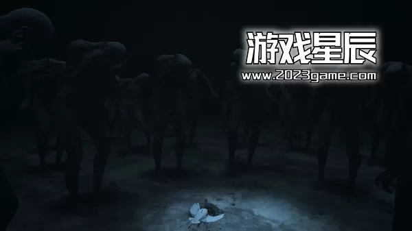 【5.05降级】PS4《面容 Visage》中文版pkg下载（v1.03）_2