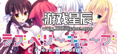 switch《树莓立方体 RASPBERRY CUBE》英文版nsp下载
