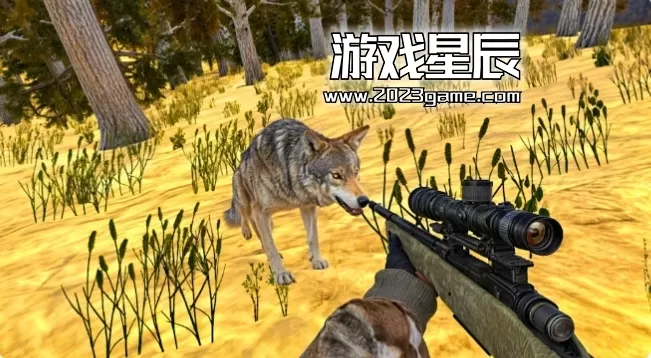 switch《动物狩猎3D Animal Hunting 3D》英文版nsp下载_1