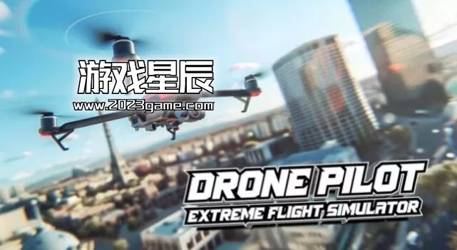 switch《无人机在线飞行模拟器/Drone Flight Simulator》中文版nsz下载_0