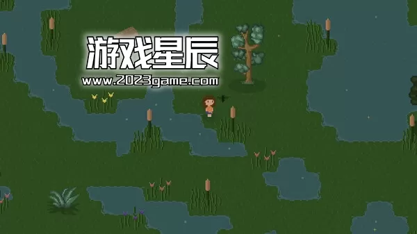 switch《Bug and Seek》英文版nsp下载_0