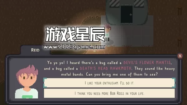 switch《Bug and Seek》英文版nsp下载_1