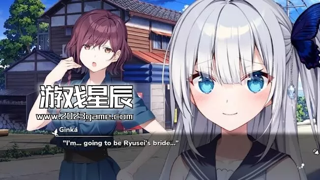 switch《银花（GINKA）》中文版XCI下载_2