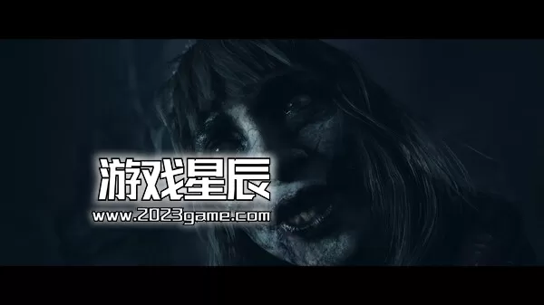 PC《直到黎明 重制版 Until Dawn》中文RUNE镜像版下载_2
