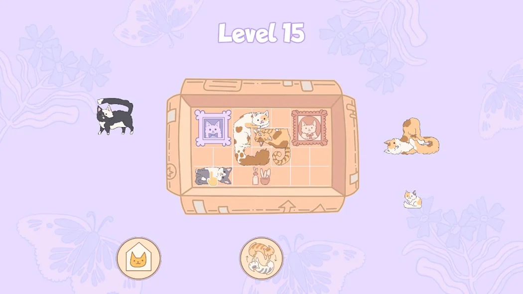 switch游戏《盒子里的猫（Cats in Boxes）》中文版nsz下载_2