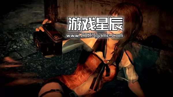 【5.05】PS4《零：濡鸦之巫女 重制版》中文版PKG下载【V1.05整合+4 DLC+60 FPS】_3