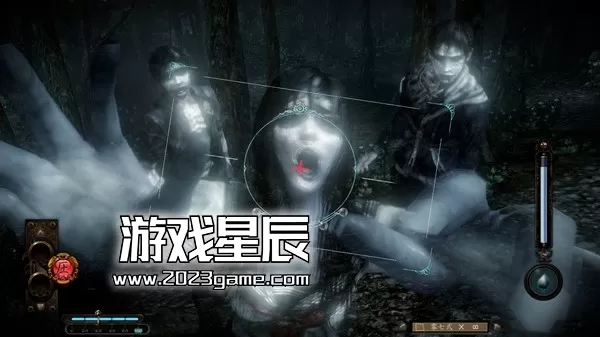 【5.05】PS4《零：濡鸦之巫女 重制版》中文版PKG下载【V1.05整合+4 DLC+60 FPS】_2