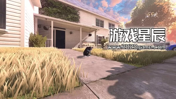 PC《冒牌猫谜 Copycat》中文版下载_1