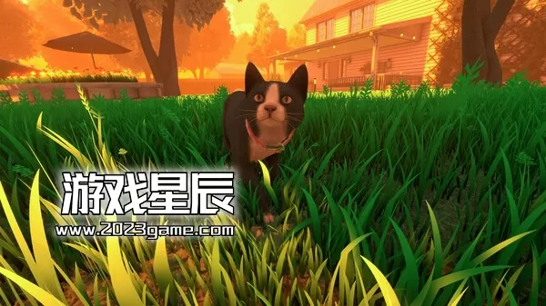 PC《冒牌猫谜 Copycat》中文版下载_2