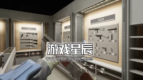 PC VR游戏《深入半径2 Into the Radius 2》英文版下载_0