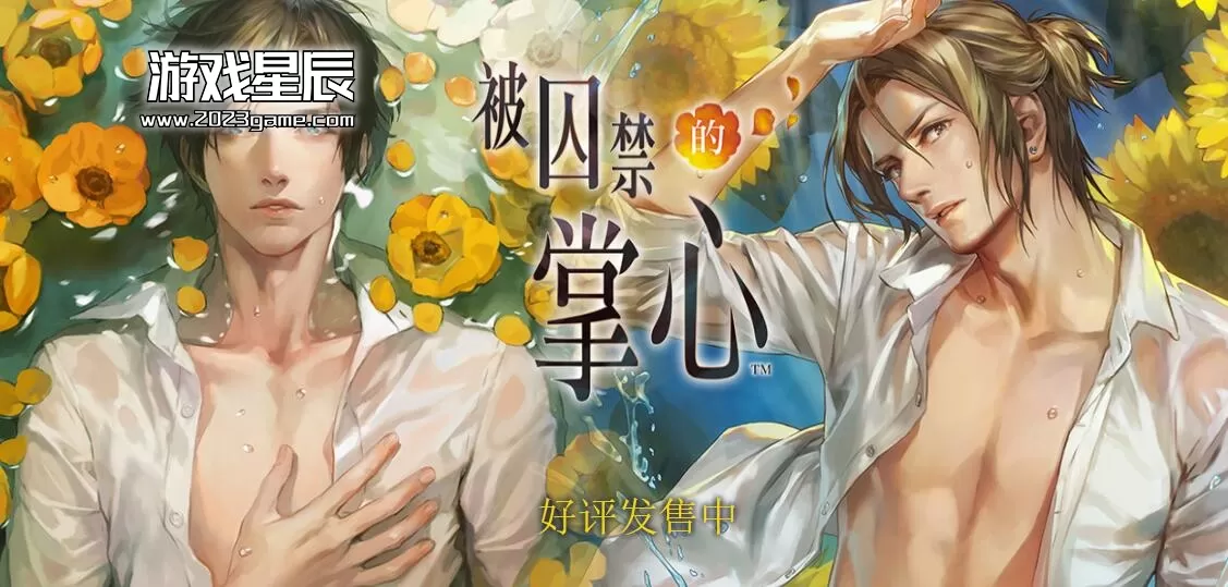 switch《被囚禁的掌心》中文版nsp下载【含补丁+3个DLC】