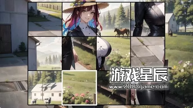 switch《动漫女孩:疯狂的女牛仔 Hentai Girls Crazy Cowgirl》中文版nsp下载_3