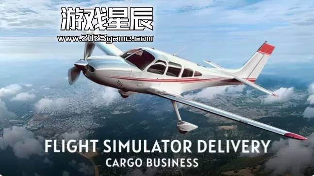 switch《飞行模拟器交付：货运业务 Flight Simulator Delivery: Cargo Business》英文版nsp下载