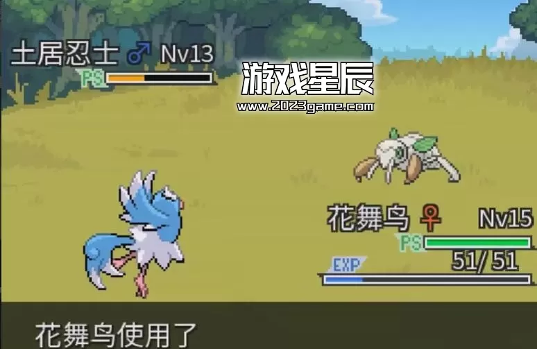 【PC+安卓】《宝可梦:维度空间》完美中文汉化版下载_5