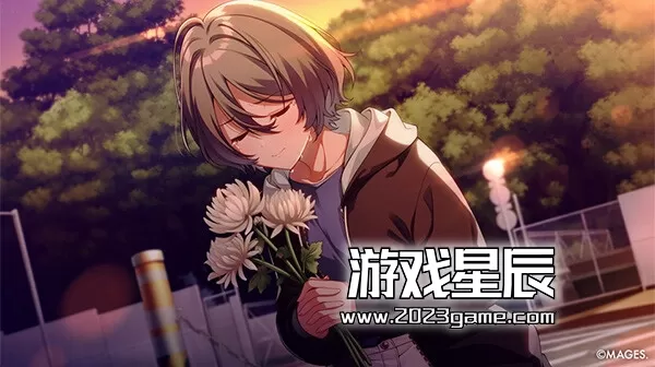 PC《SINce Memories 星穹之下 数字版/SINce Memories: Off The Starry Sky》中文版下载_3
