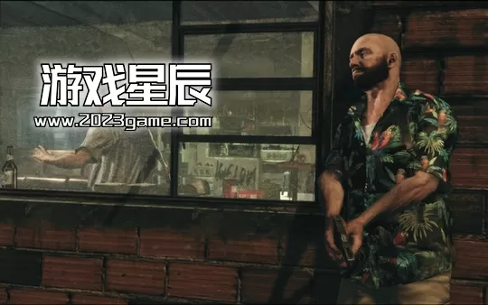 PC《马克思佩恩3》中文汉化版下载【v1.0.0.272版|集成全DLC】_1