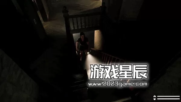 PC《苏菲：回声迷踪 Sofie: The Echoes》英文TENOKE镜像版下载_0