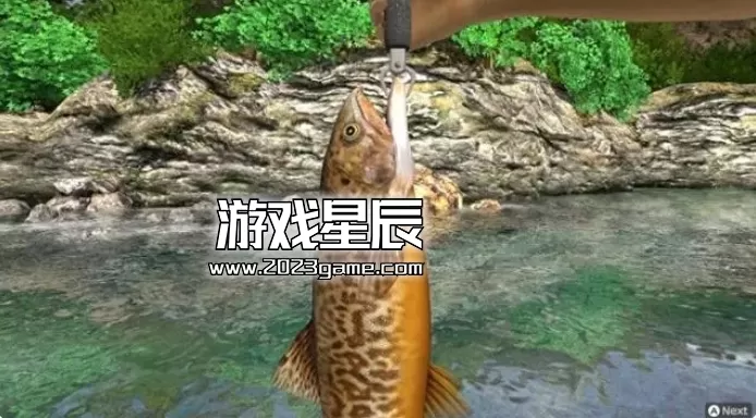 switch《户外钓鱼 夏日时光 Reel Fishing Days of Summer》中文版XCI下载_3