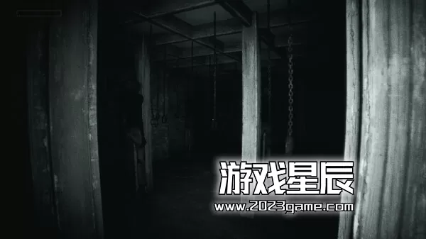 PC《微弱呼唤/Faint Call》中文版下载_2