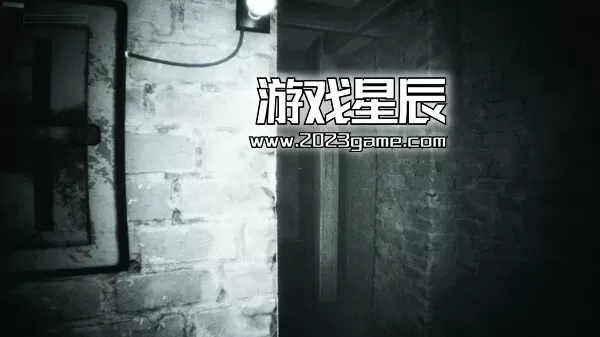 PC《微弱呼唤/Faint Call》中文版下载_0