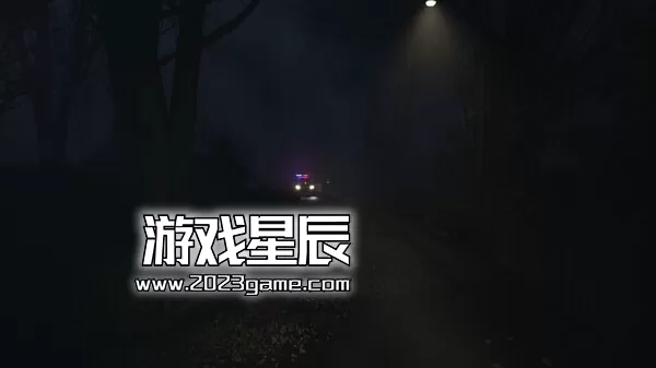 PC《微弱呼唤/Faint Call》中文版下载_3