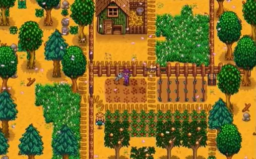 [NSZ] [星露谷物语].Stardew Valley 美版中文+1.6.9.37补丁_5