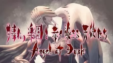switch《黄昏的天使(Angel at Dusk)》美版中文+2.07补丁