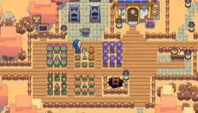 switch《月光石岛(Moonstone Island)》[nsz]美版中文+1.0.9补丁+7DLC_4