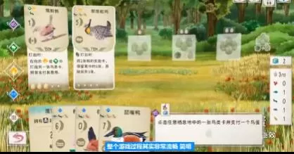 switch《展翅翱翔(Wingspan)》[NSZ]美版中文+1.6.567补丁+4DLC_4
